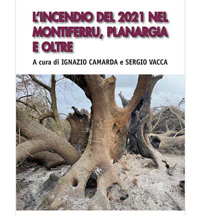 camarda-ignazio