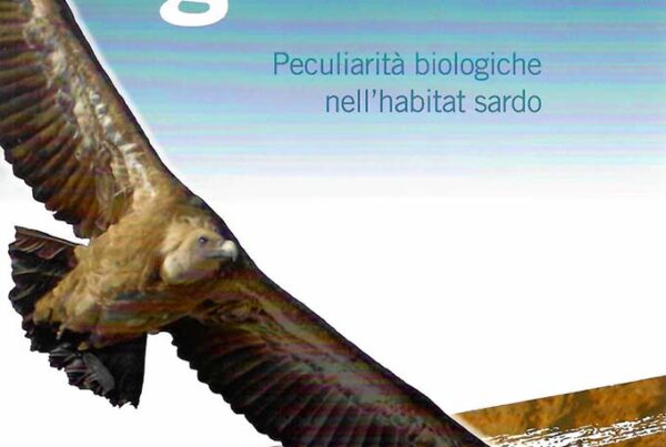 il-grifone-